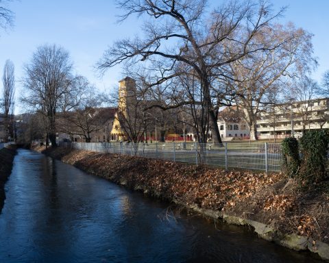 Mühlgang vom Volksgarten